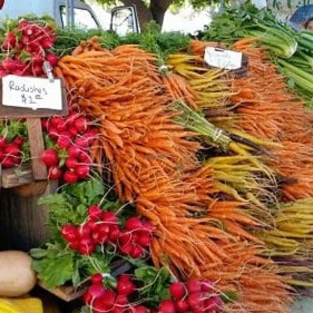 downtown-farmers-market-2