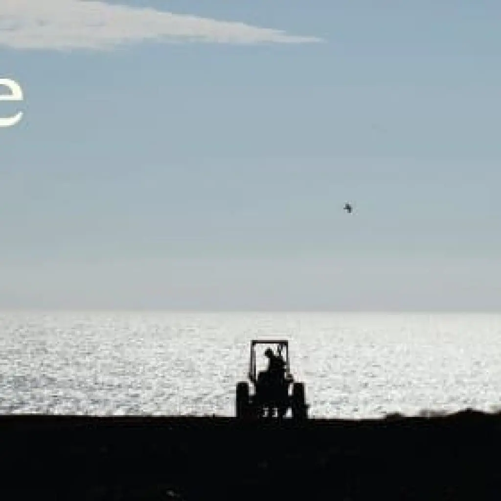 westside-farmers-market