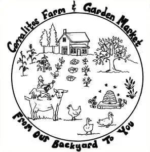corralitos-farm-garden-market