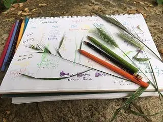 nature-journaling
