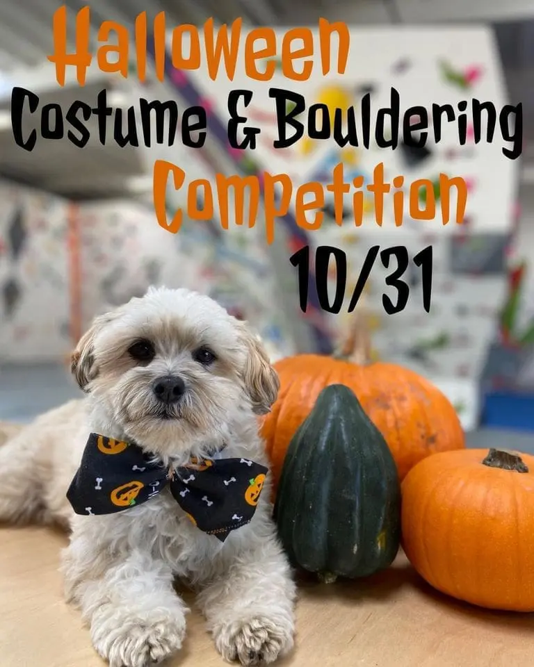halloween-agility-boulders-halloween-contest