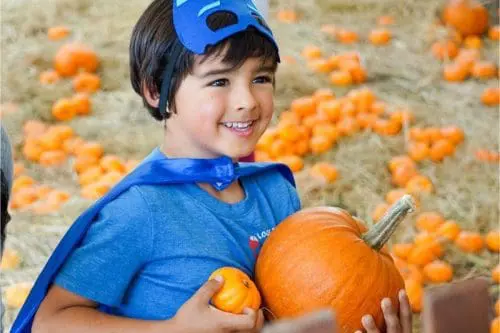 roaringcamp-harvest-faire