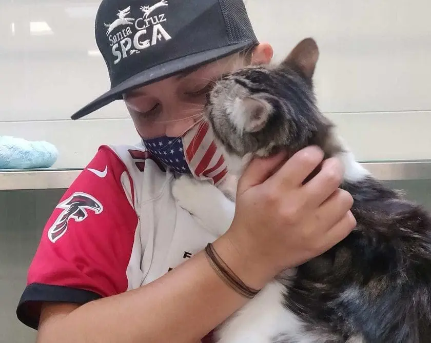 Santa Cruz SPCA Camps