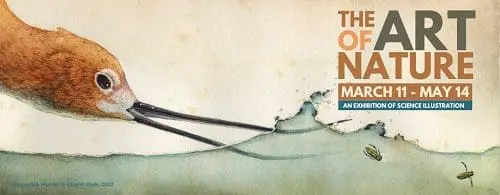 scmus-art-of-nature-mar11-may14