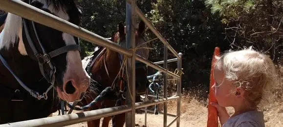 Skylake Yosemite Family Camp Skylake Yosemite Family Camp