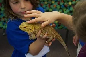 mms-summit-for-the-planet