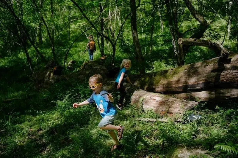 monongalia-forest-school-wv