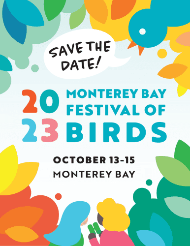 monterey-festival-of-birds