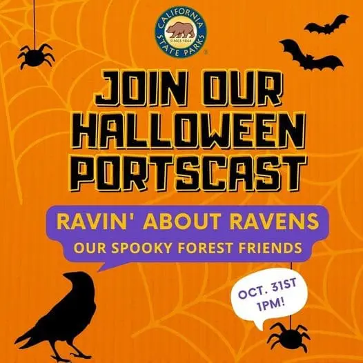 halloween-22-big-basin-portscast