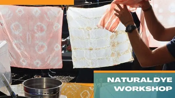 scmus-natural-dye-workshop