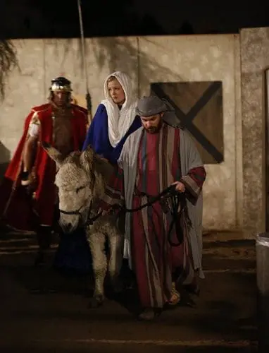 bethlehem-joseph-mary-donkey-2