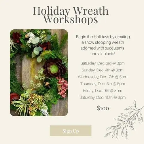 holiday-dig-succulent-wreath-workshops