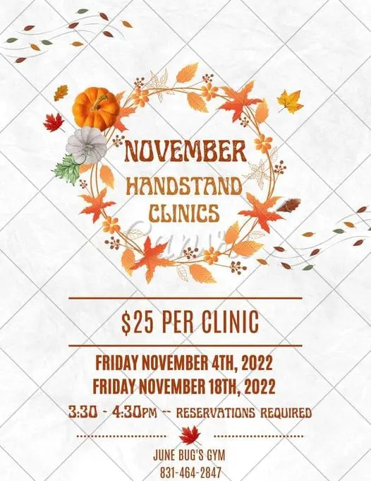 junebug-handstand-clinic-nov-4-18