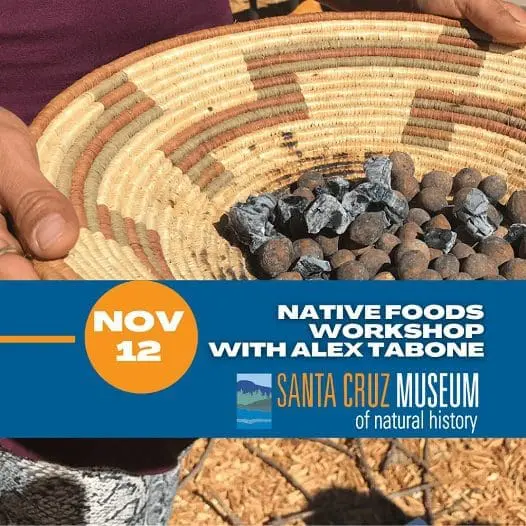 scmus-amun-foods-526