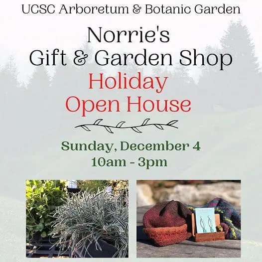 holidays-norries-open-house