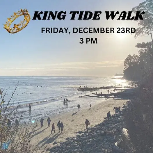 park-seacliff-king-tide-walk