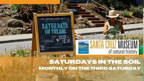 scmus-saturday-in-the-soil