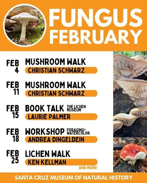 scmus-fungus-february