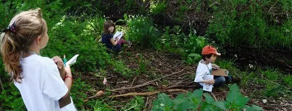 scmus-nature-explorers