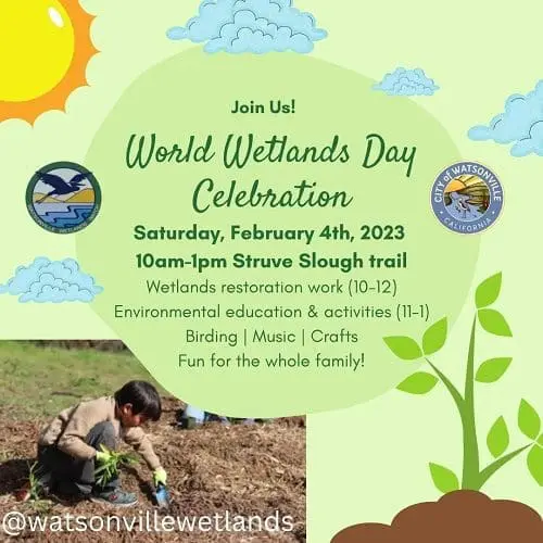 wats-wetlands-world-wetlands-day