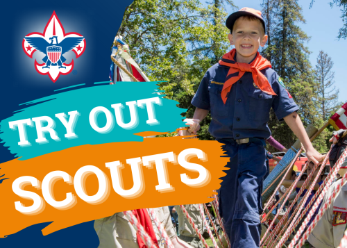 scouts-try-out