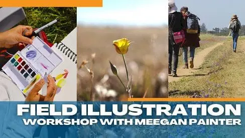 meegan-workshop