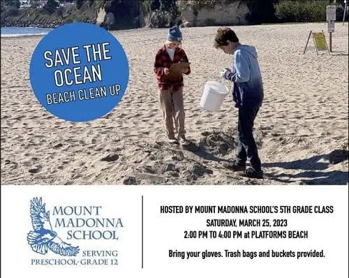 mms-pllatform-beach-cleanp