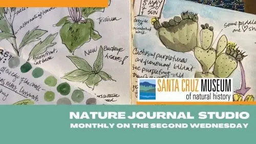 scmus-nature-journaling-studio