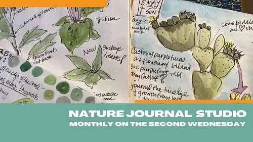 scmus-ournal-studio-2nd-weds