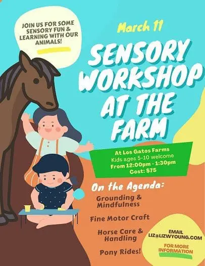 sensory-workshop-liz