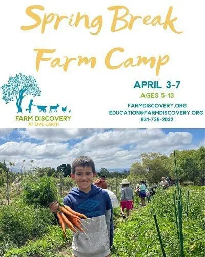 spring-break-camp-flier-2023-8-10-in-1