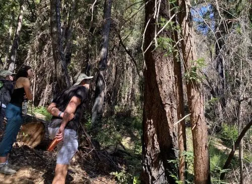 scmuseum-fall-creek-fire