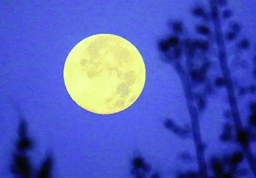 parks-quail-hollow-full-moon-hike