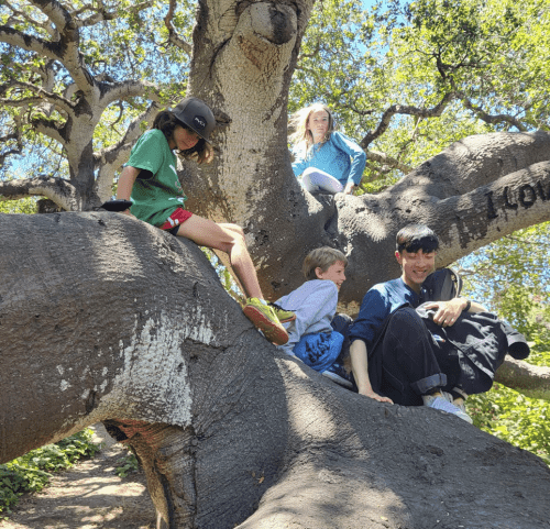 scmus-camp-biomimicry