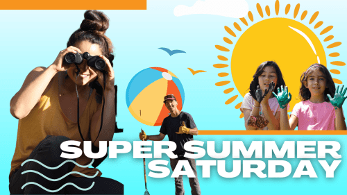 super-summer-saturday