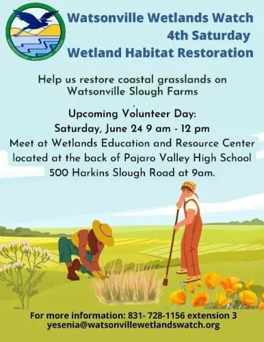 watsonville-wetlands-4th-saturdays-volunteer