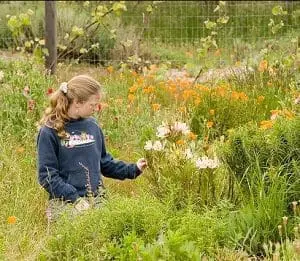 lifelab-open-school-gardens-day