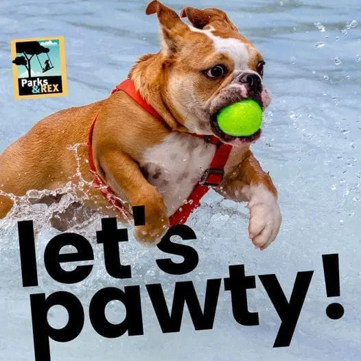 parks-lets-pawty