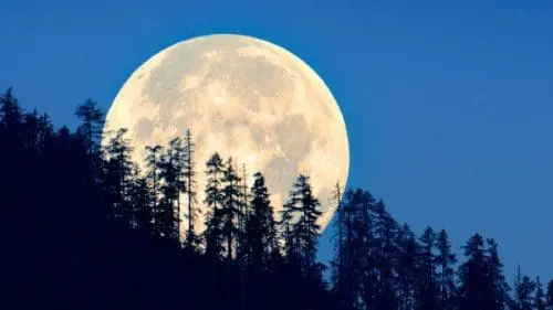 parks-quail-hollow-full-moon-hike-2