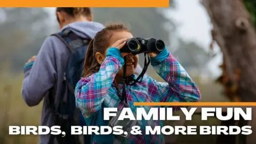 scmus-family-birding-fun
