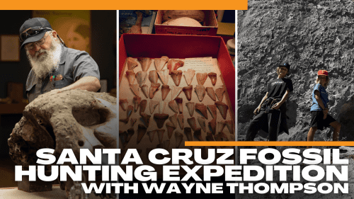 scmus-fossil-walk-sept-16