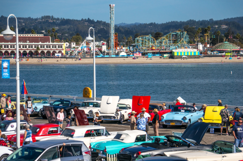 city-of-santa-cruz-t-birds