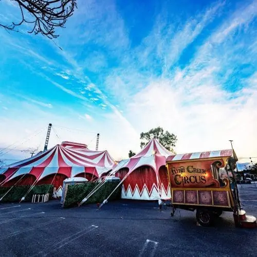 capitola-mall-flynn-creek-circus