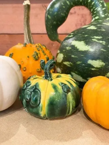 art-factory-drop-in-gourds