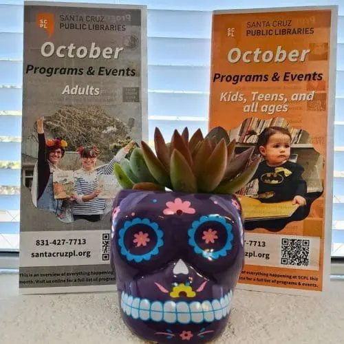 library-october-adult-children-programs