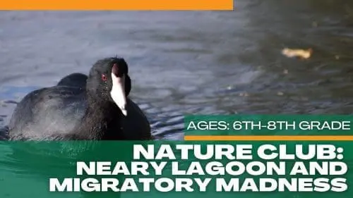 sc-mus-natural-history-nature-club-11-11