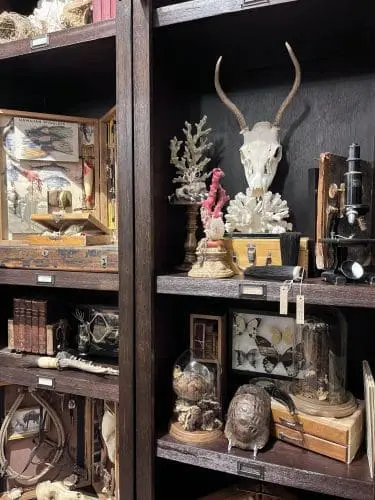 sc-art-league-collections