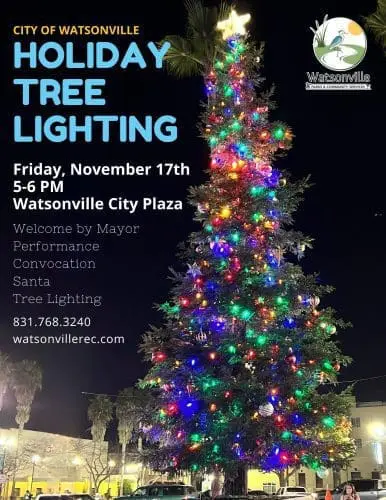watsonville-holiday-tree-lighting