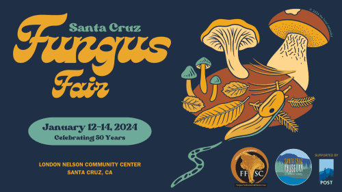 fungus-fair-fungus-fair-2024