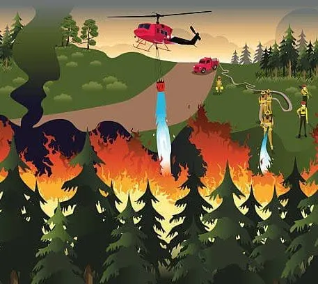 wildland-fire-academy